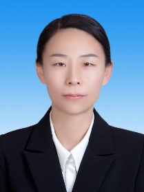 D533 D533